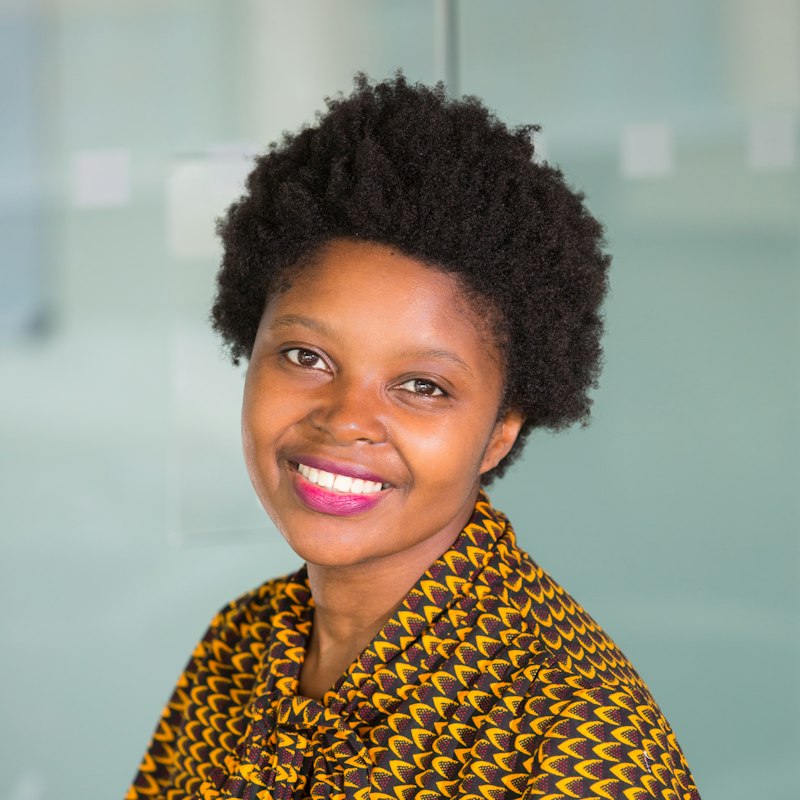 Portrait of the Director of Programmes